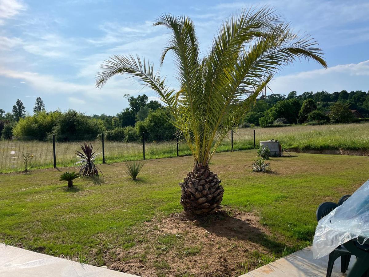 Chambre Double -Vue Sur Jardin Bergerac Kültér fotó